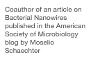 Coauthor of an article on Bacterial Nanowires published in the American Society of Microbiology blog by Moselio Schaechter