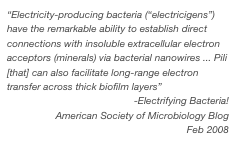 “Electricity-producing bacteria (“electricigens”) have the remarkable ability to establish direct connections with insoluble extracellular electron acceptors (minerals) via bacterial nanowires ... Pili [that] can also facilitate long-range electron transfer across thick biofilm layers” 
-Electrifying Bacteria! 
American Society of Microbiology Blog
Feb 2008