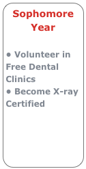 Sophomore Year

• Volunteer in Free Dental Clinics
• Become X-ray Certified